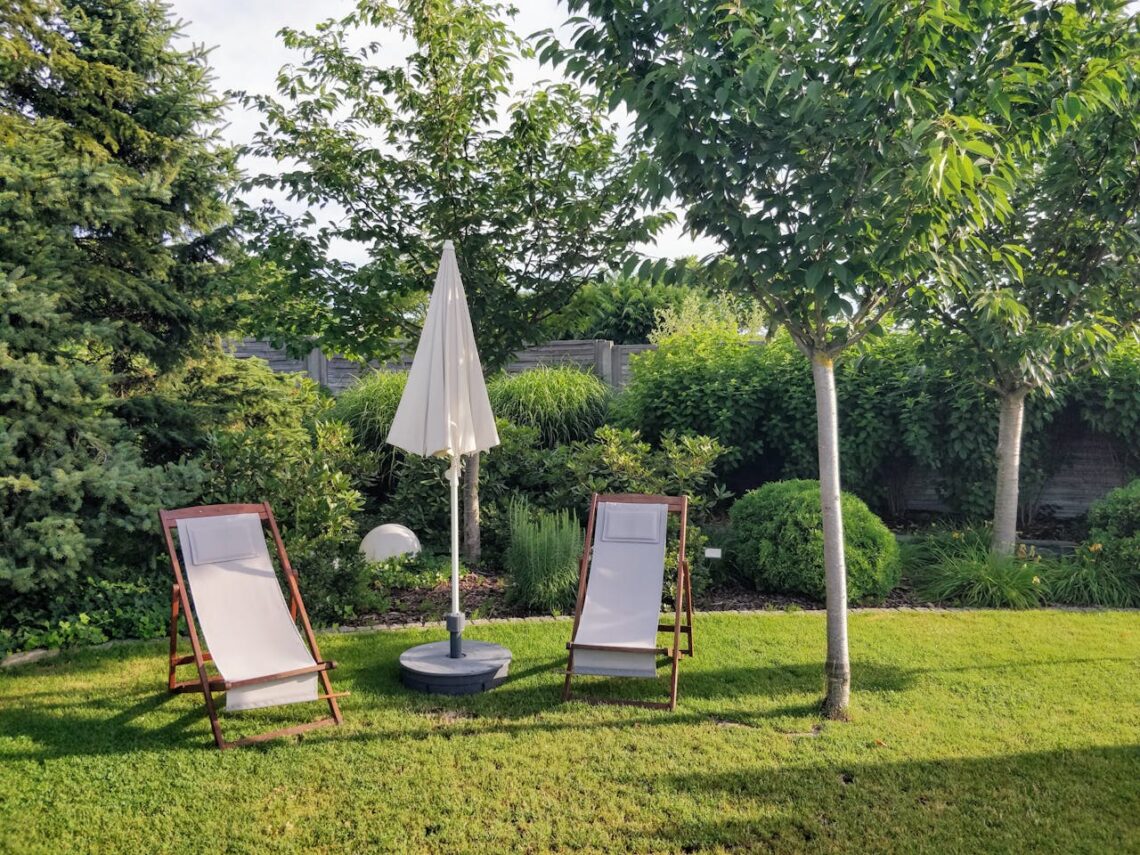 back garden