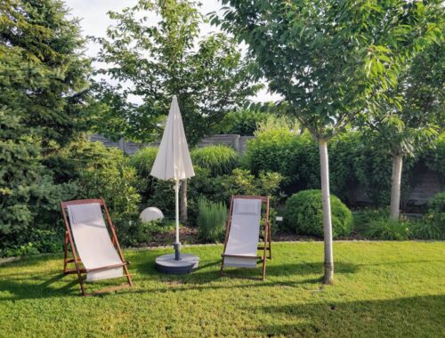back garden