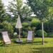 back garden