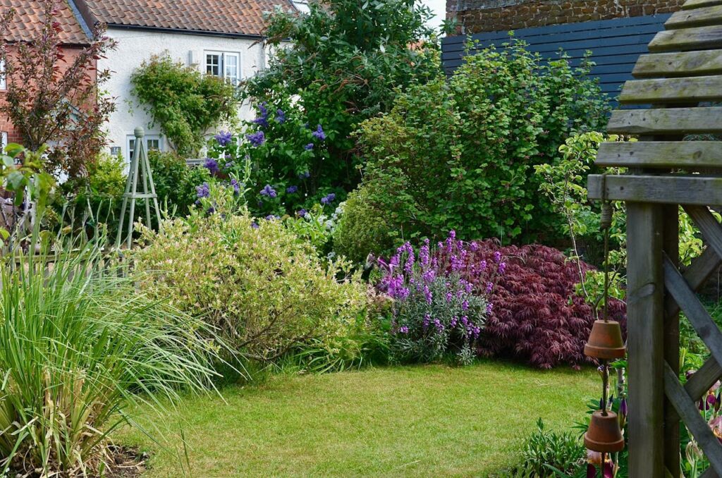 garden