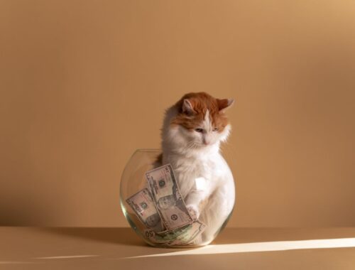 money worries