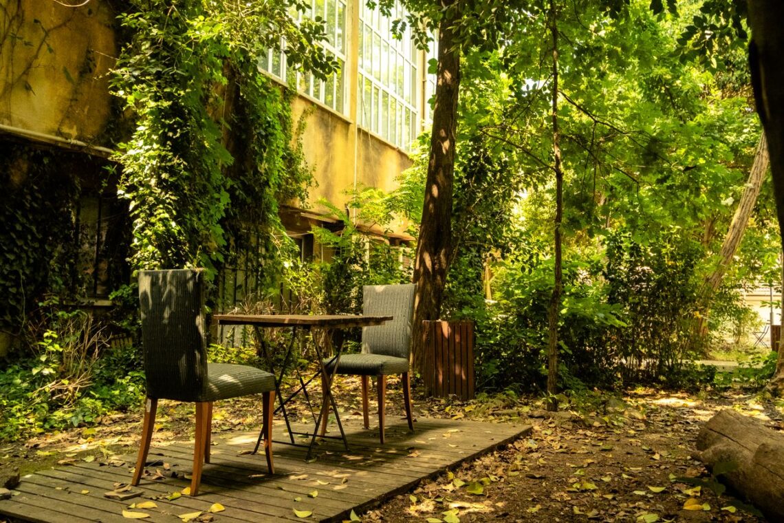 garden mess