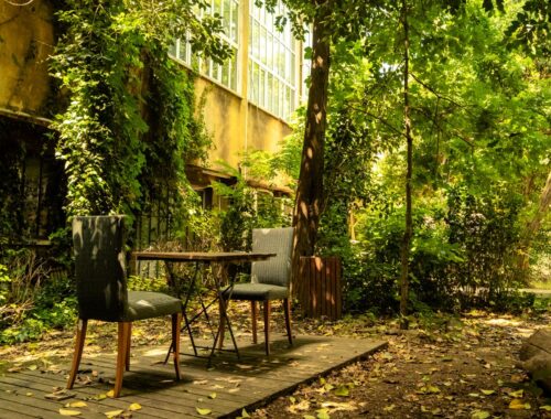 garden mess