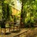 garden mess