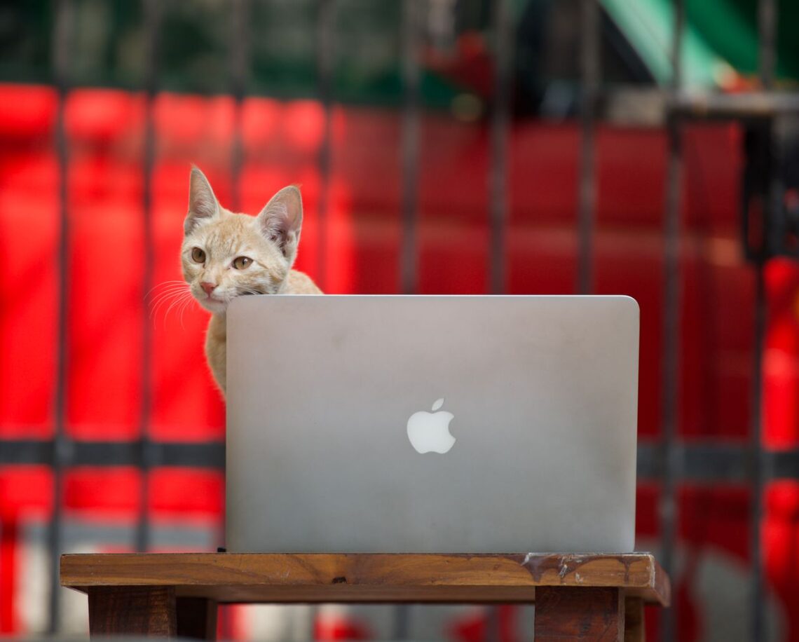 techie