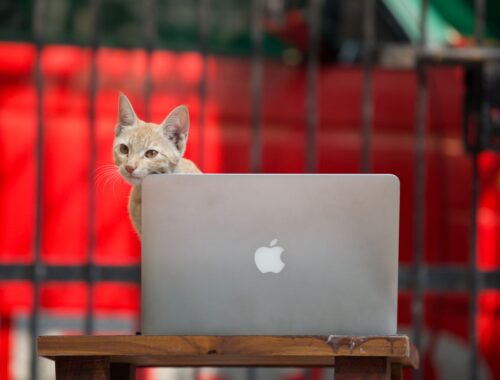 techie